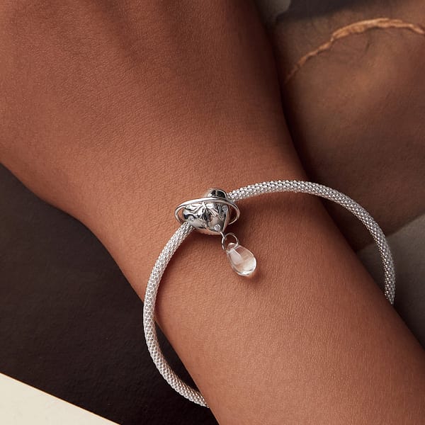 Buzzworthy Beauties: 10 Must-Have Bug-Inspired Jewelry Pieces of 2023 31 Close-up of the Butterfly Heart Planet Charm made of s925 sterling silver. Features an engraved silver butterfly on a heart, with a planet-like ring and a dangling transparent glass drop. Part of the Parallel Universe Charms Collection. Perfect for jewelry lovers and dreamers.