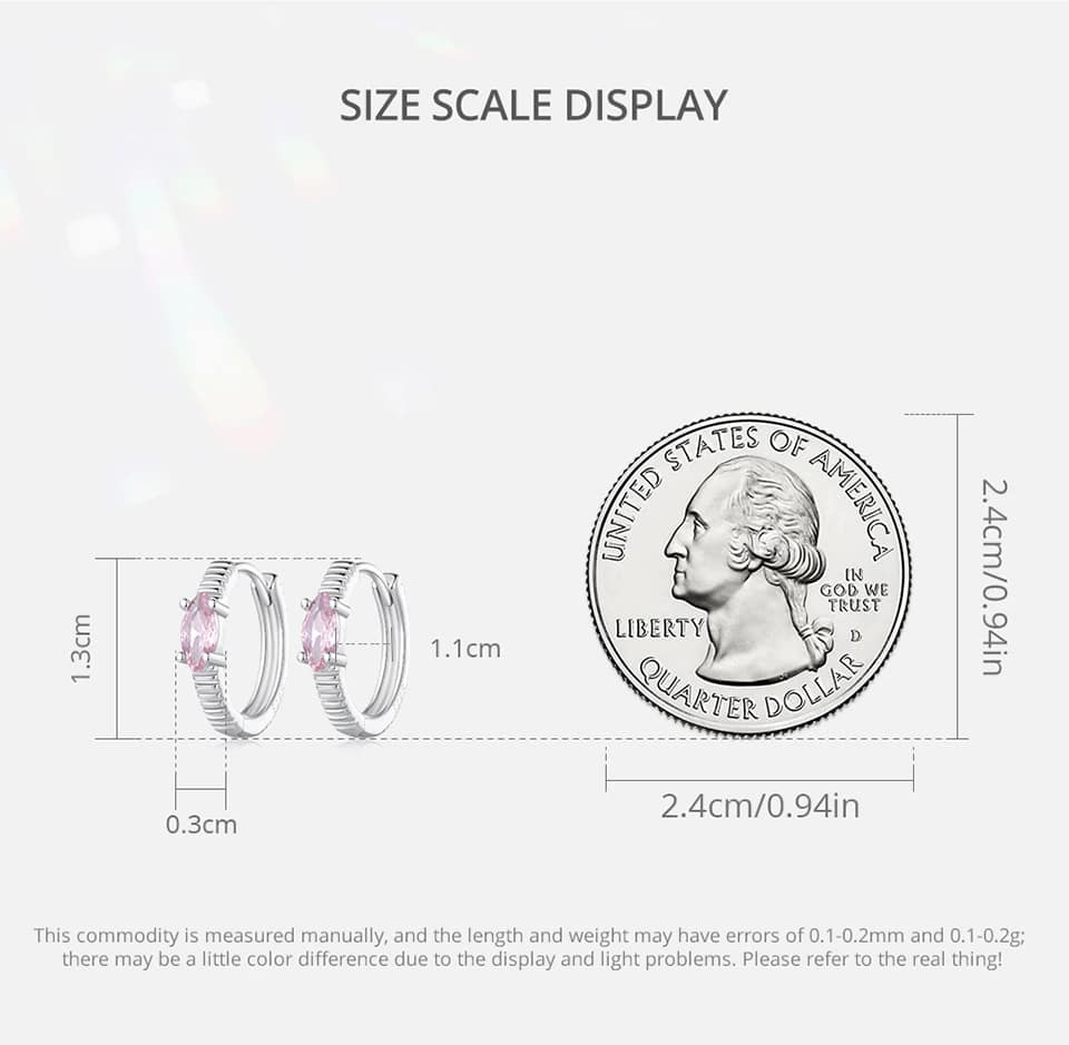 Pink Horse Eye Zircon Stripe Pattern Hoop Earrings | S925 Sterling Silver | Go Glam Girl 12 S925 Pink Horse Eye Zircon Stripe Pattern Hoop Earrings | Simple Earrings Collection | Go Glam Girl jewelry shop